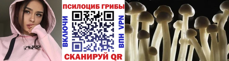 Купить где  Воскресенск  Галлюциногенные грибы GOLDEN TEACHER 